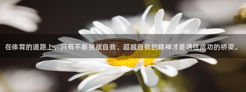 oety欧亿体育官网下载招商电话号码是多少：在体育的