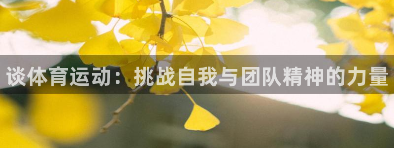 oety欧亿体育官网下载是干嘛的公司：谈体育运动：挑