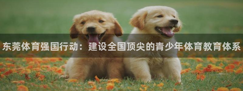 oety欧亿体育官网下载平台注册：东莞体育强国行动：