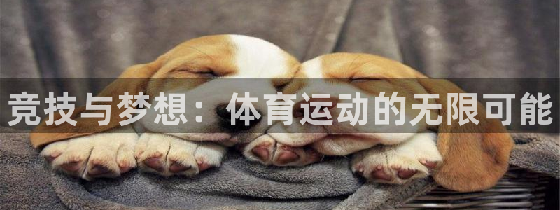oety欧亿体育官网下载平台：竞技与梦想：体育运动的