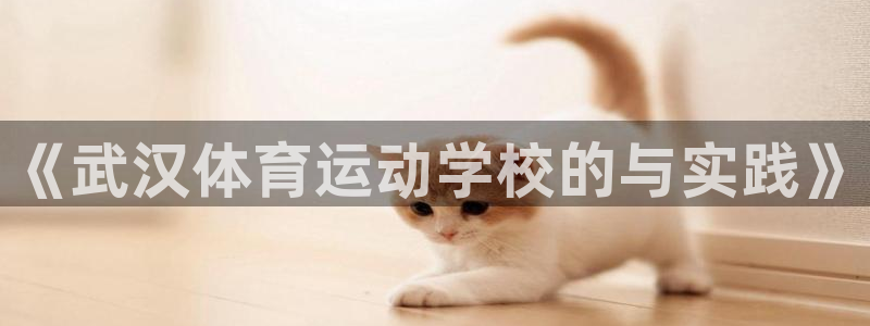 oety欧亿体育官网下载平台是正规平台吗知乎：《武汉
