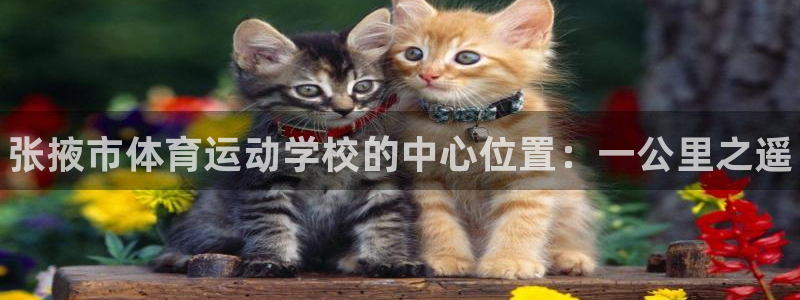 欧亿体育官方正版app娱乐是那个系列的台子：张掖市体