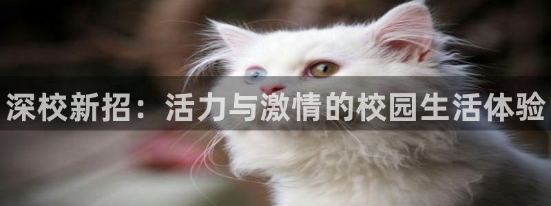 欧亿体育官方集团官网：深校新招：活力与激情的校园生活