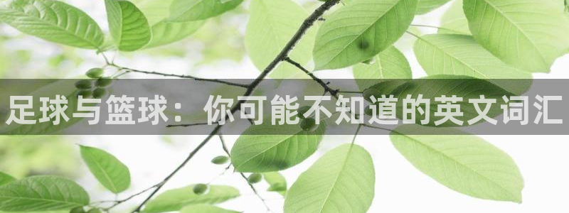 oety欧亿体育官网下载招商电话是多少啊：足球与篮球