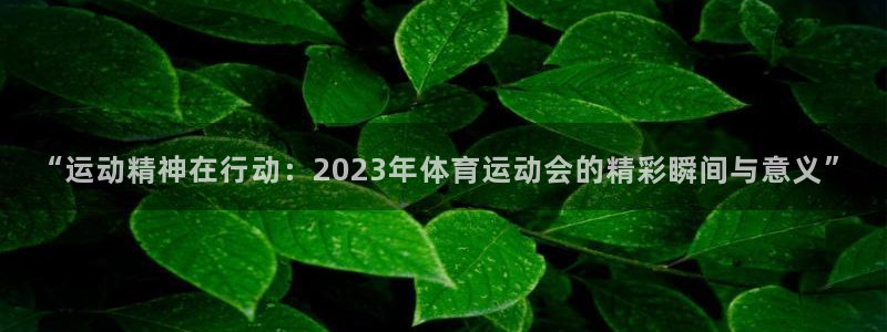 欧亿体育官方正版app娱乐网站：“运动精神在行动：2