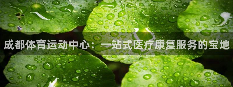 oety欧亿体育官网下载招商电话号码查询：成都体育运