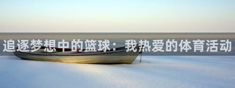 oety欧亿体育官网下载平台是正规平台吗知乎：追逐梦