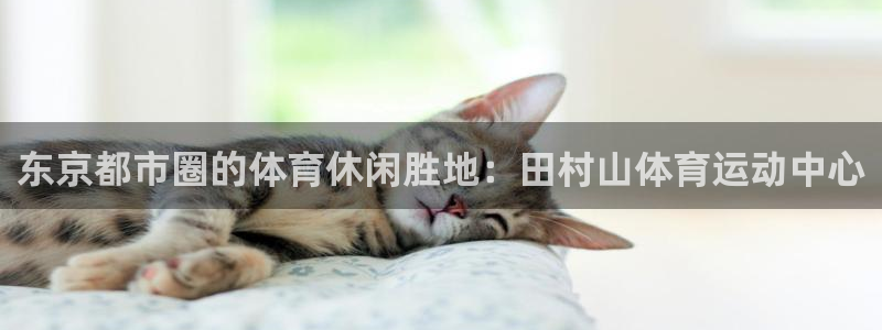 海南oety欧亿体育官网下载发展怎么样：东京都市圈的