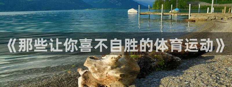 欧亿体育官方正版app娱乐下载：《那些让你喜不自胜的体育运动