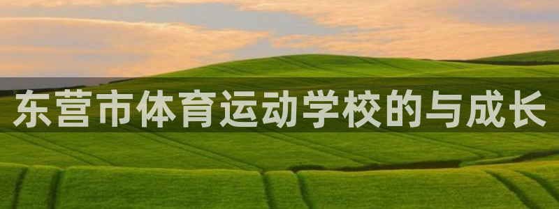 oety欧亿体育官网下载软件：东营市体育运动学校的与
