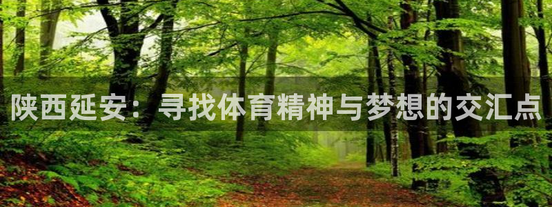 oety欧亿体育官网下载是干嘛的公司：陕西延安：寻找体育精神