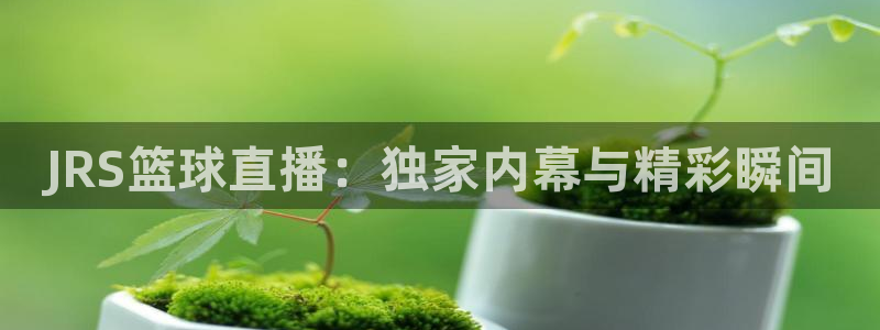 极速体育直播吧在线：JRS篮球直播：独家内幕与精彩瞬间