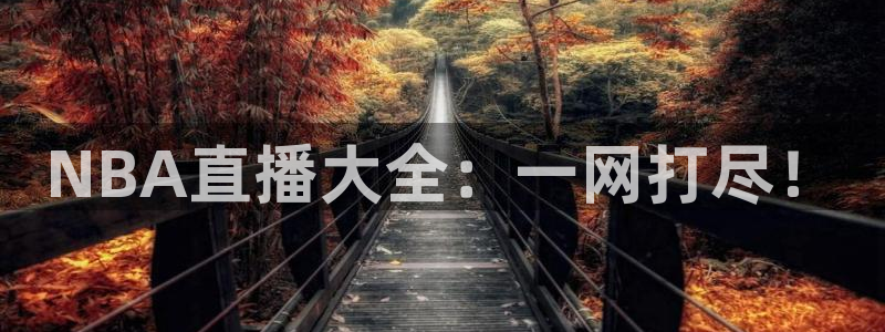 nba体育直播吧：NBA直播大全：一网打尽！